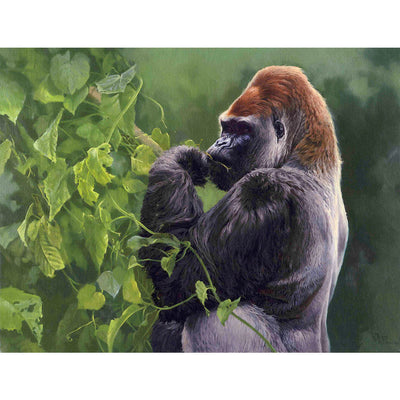 Western Lowland Gorilla - Original Oil Painting