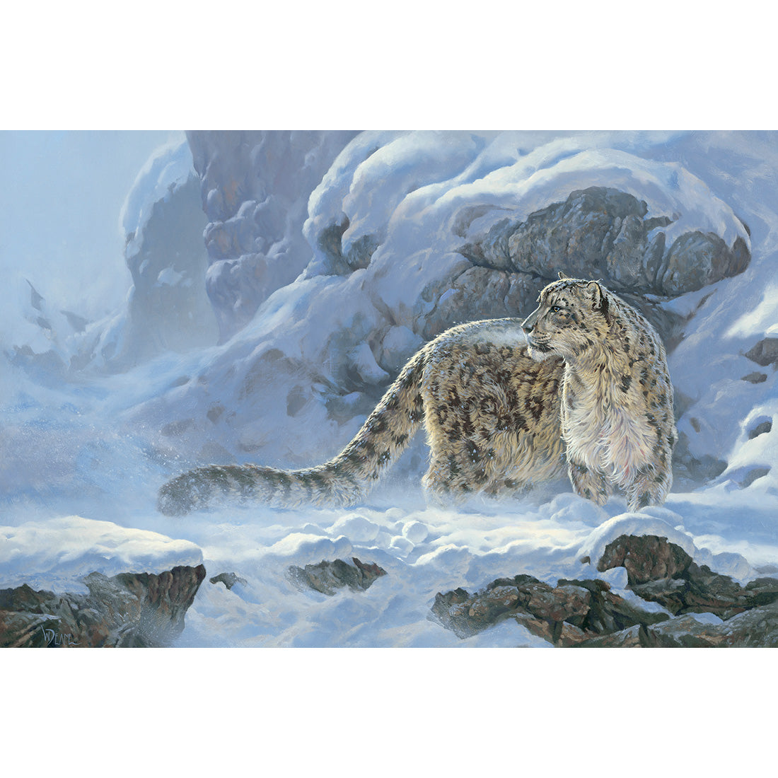 Voices - Snow Leopard - Giclee Edition